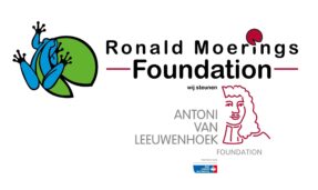 Ronald Moerings foundation
