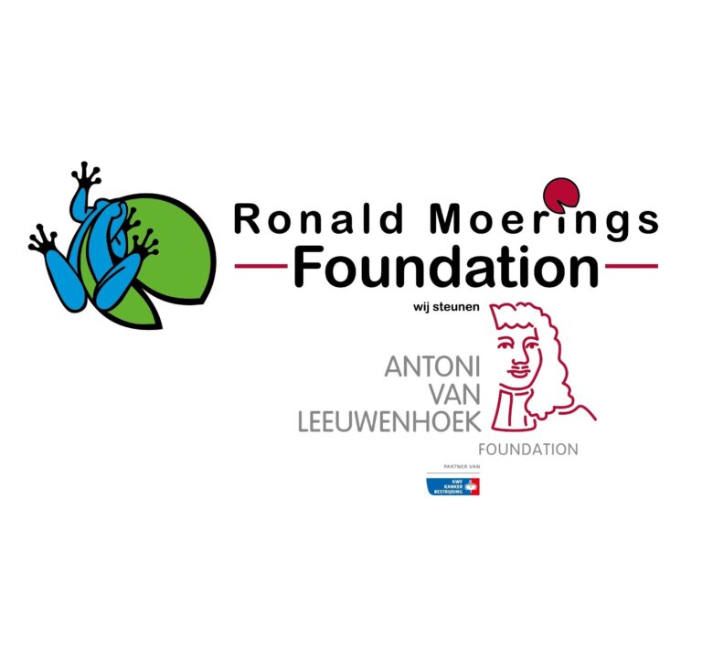 Ronald Moerings foundation