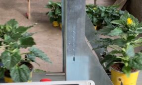 Automatisch potplanten sorteren op hoogte - Hoogte sorteersysteem touchscreen