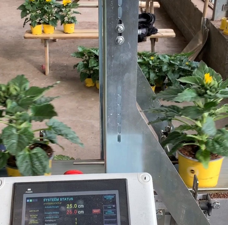 Automatisch potplanten sorteren op hoogte - Hoogte sorteersysteem touchscreen